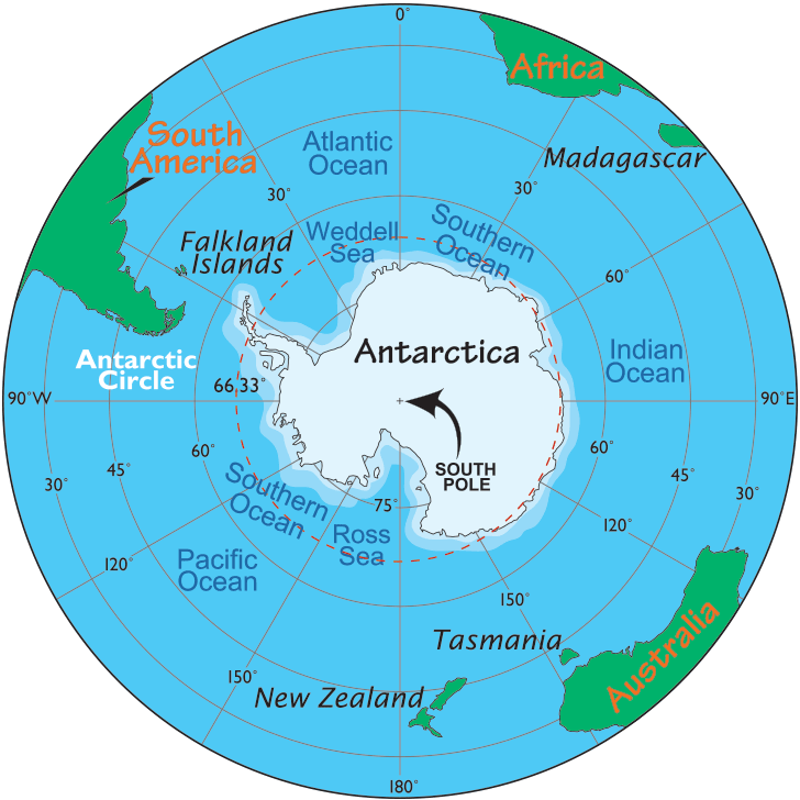 20 Interesting Antarctica Facts For Kids -Antarctica Animals