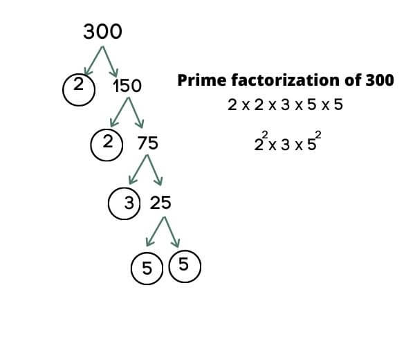 prime factorization