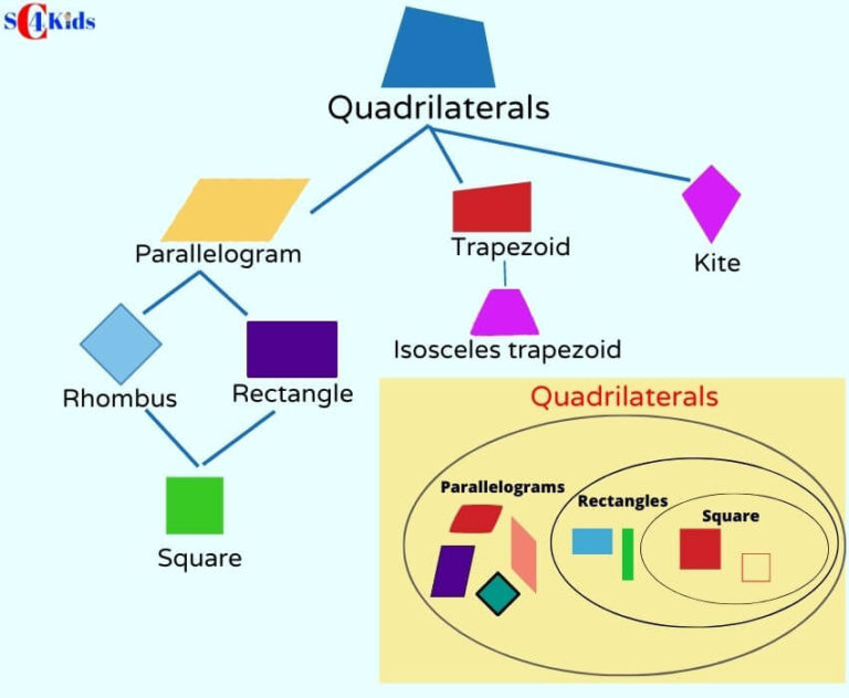 quadrilateral shapes for kids