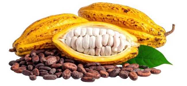 Cocoa Bean Pods