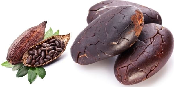 How To Handle Every cocoa beans Challenge With Ease Using These Tips