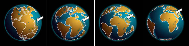 All About Plate Tectonics [Explained], 11 COOL Facts About Plate Tectonics