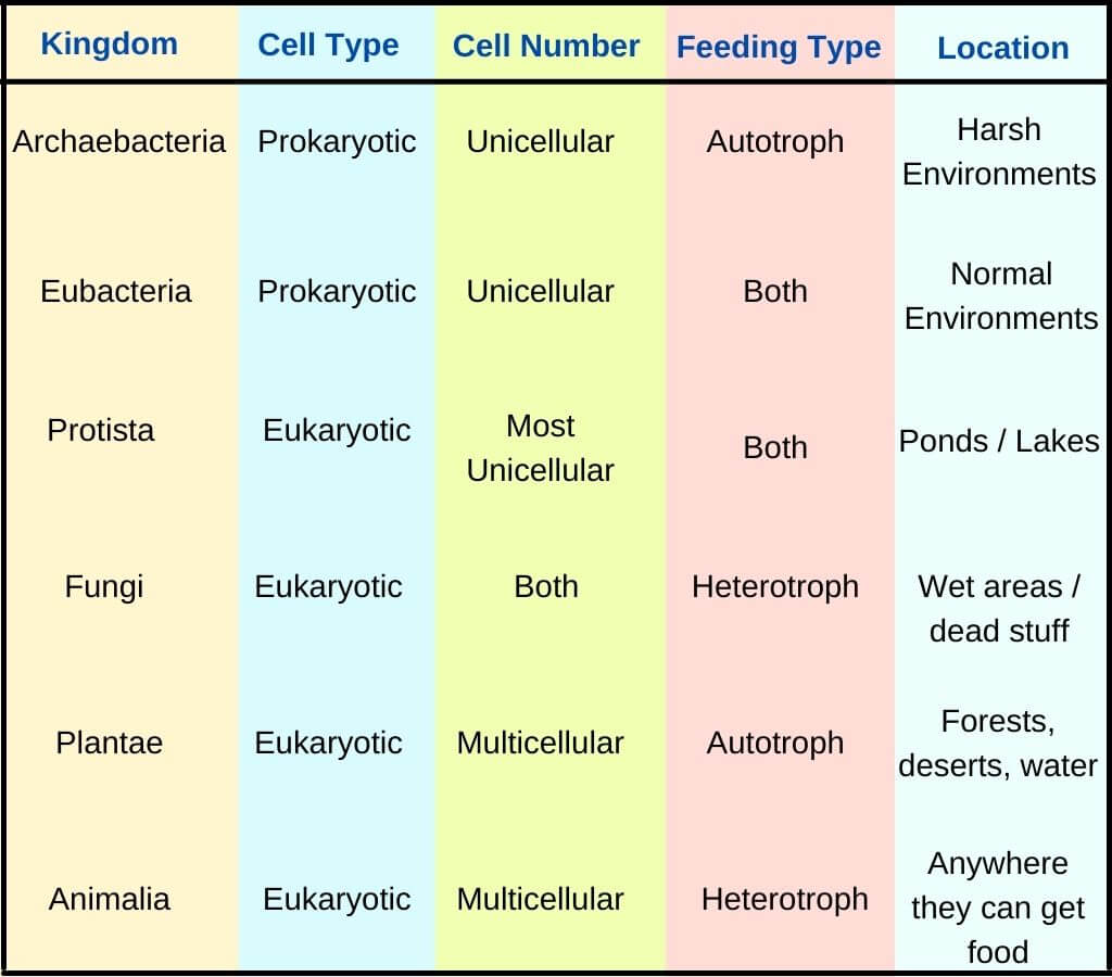 six kingdom classification chart