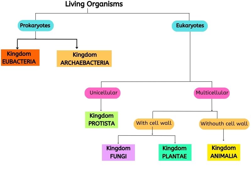 A Simple Explanation of the 6 Kingdoms of Life